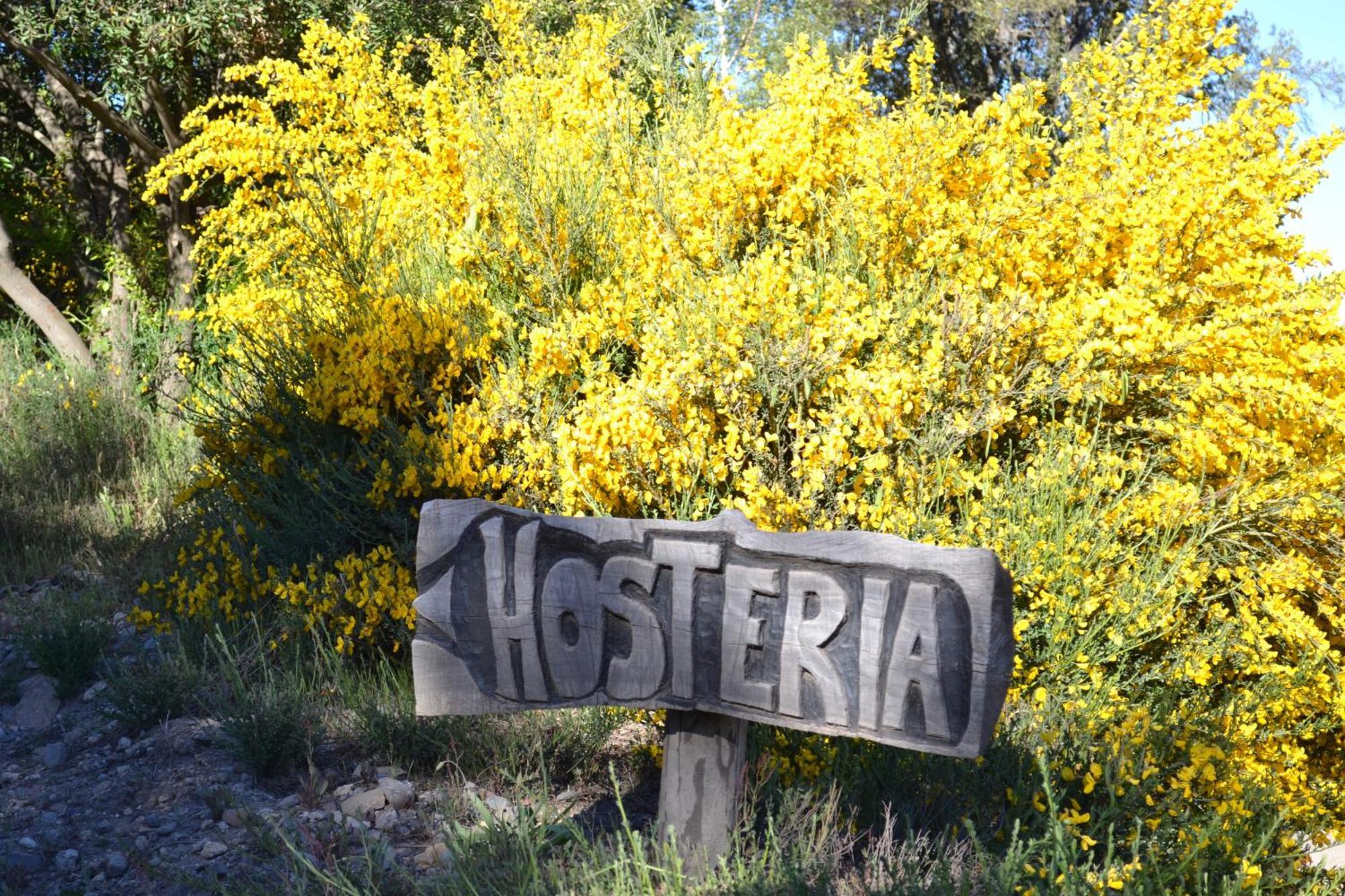 Sieteflores Hosteria De Montana Сан-Мартин-де-лос-Андес Экстерьер фото